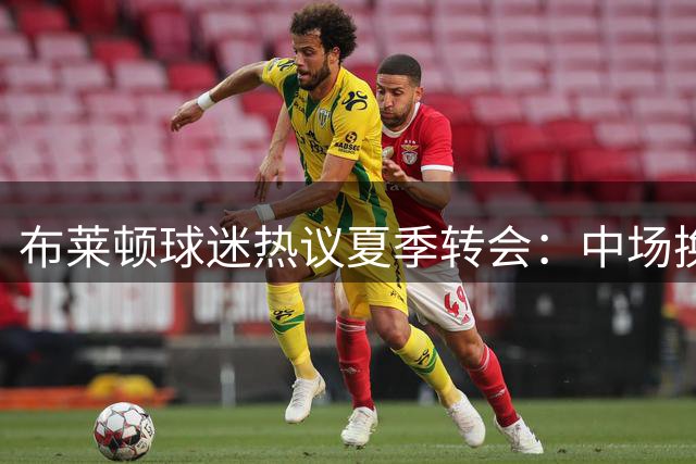 布莱顿球迷热议夏季转会：中场换血成焦点，锋线补强刻不容缓